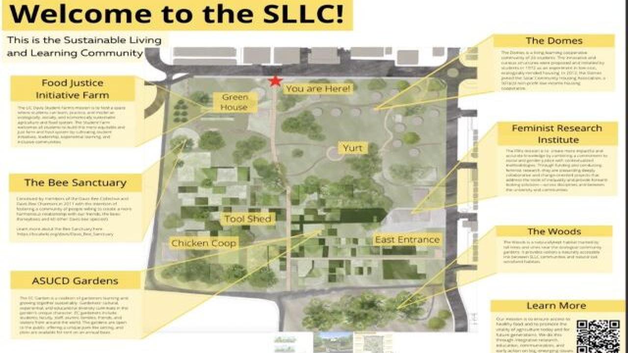 Layout of SLLC