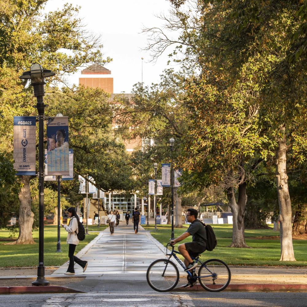 Students walk and ride through campus next to the quad and Centennial Walk.