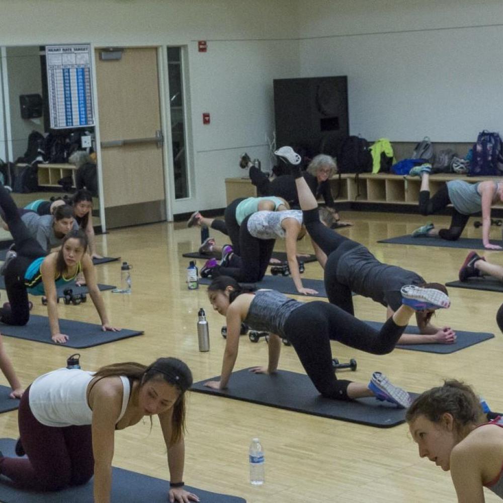 A group of people practice yoga.